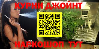 дживик Можга