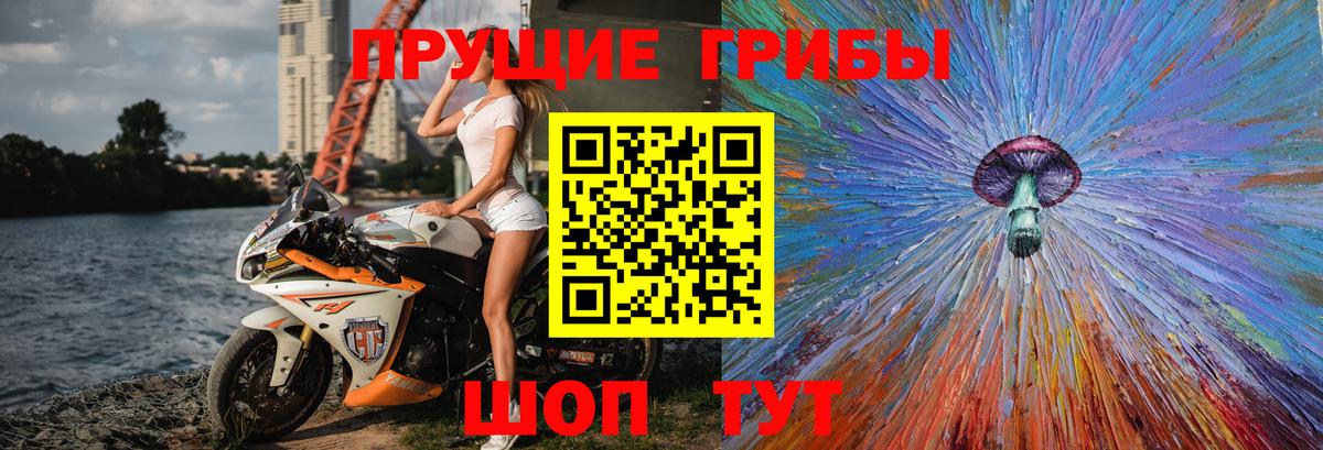 Галлюциногенные грибы Magic Shrooms  Череповец 