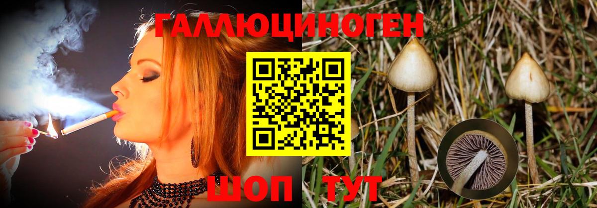 Галлюциногенные грибы MAGIC MUSHROOMS Череповец